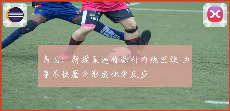 乌戈：新援莱迪将弥补内线空缺 力争尽快磨合形成化学反应