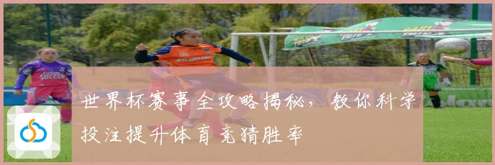 世界杯赛事全攻略揭秘，教你科学投注提升体育竞猜胜率