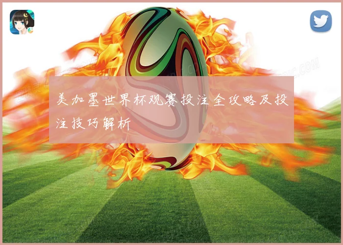 美加墨世界杯观赛投注全攻略及投注技巧解析