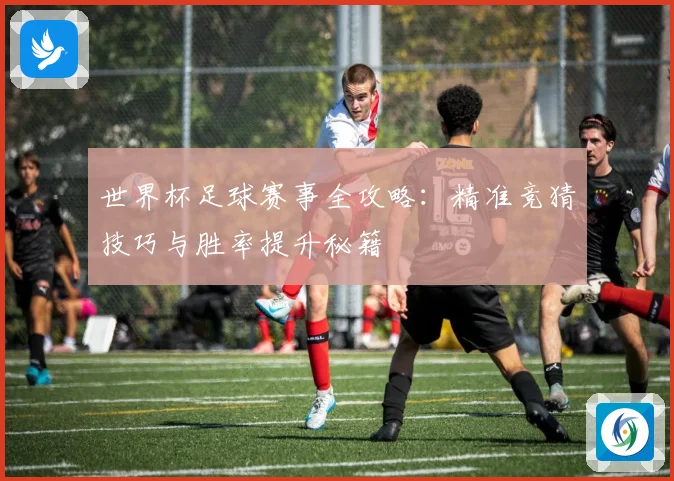 世界杯足球赛事全攻略：精准竞猜技巧与胜率提升秘籍